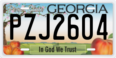 GA license plate PZJ2604