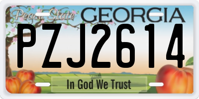 GA license plate PZJ2614