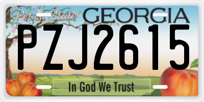 GA license plate PZJ2615