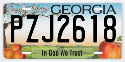GA license plate PZJ2618