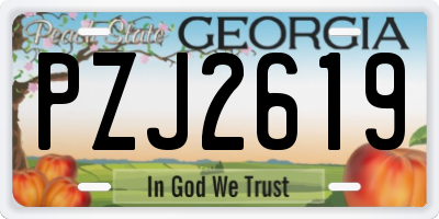 GA license plate PZJ2619