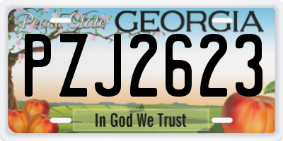 GA license plate PZJ2623