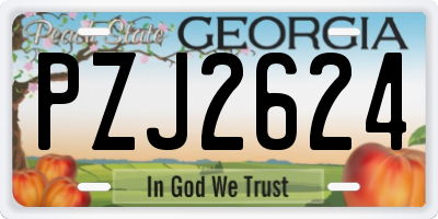 GA license plate PZJ2624
