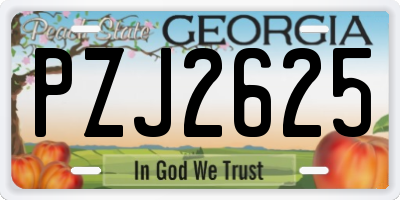 GA license plate PZJ2625