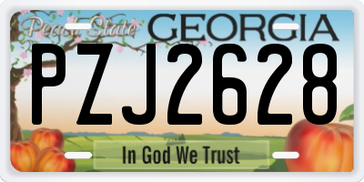 GA license plate PZJ2628