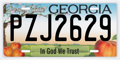 GA license plate PZJ2629