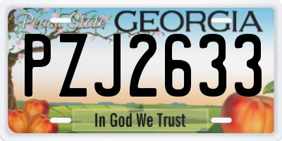 GA license plate PZJ2633