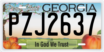 GA license plate PZJ2637