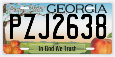 GA license plate PZJ2638