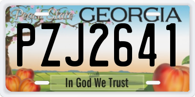 GA license plate PZJ2641