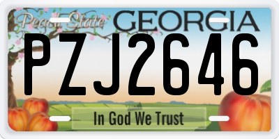 GA license plate PZJ2646