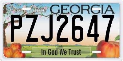 GA license plate PZJ2647
