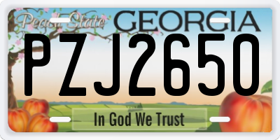 GA license plate PZJ2650