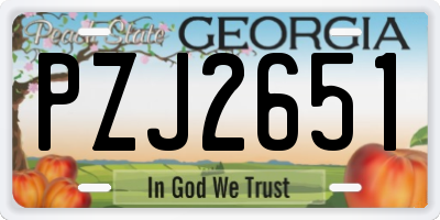 GA license plate PZJ2651