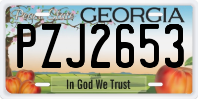 GA license plate PZJ2653