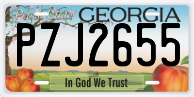GA license plate PZJ2655