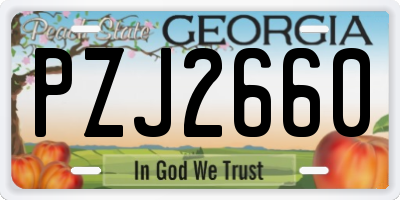 GA license plate PZJ2660