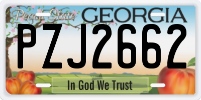 GA license plate PZJ2662