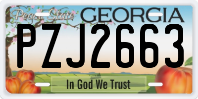 GA license plate PZJ2663
