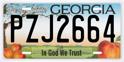 GA license plate PZJ2664