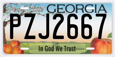 GA license plate PZJ2667