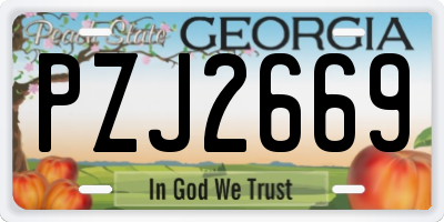 GA license plate PZJ2669