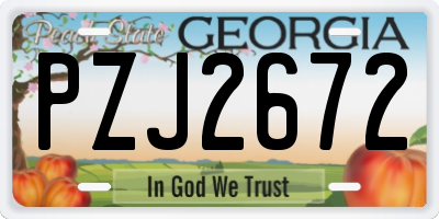 GA license plate PZJ2672