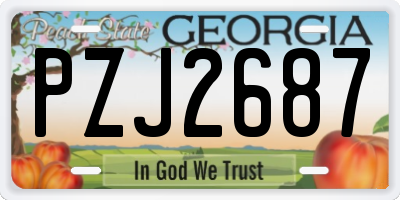 GA license plate PZJ2687