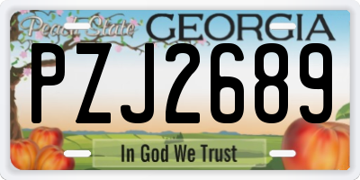 GA license plate PZJ2689