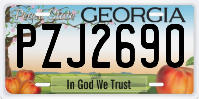 GA license plate PZJ2690