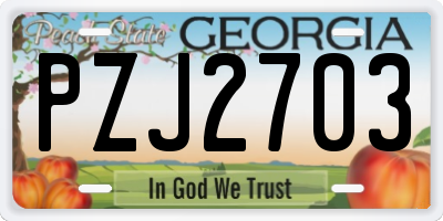 GA license plate PZJ2703