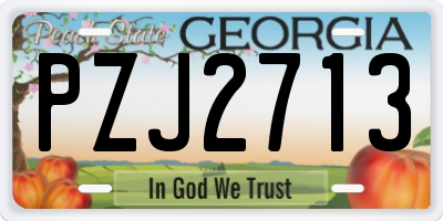 GA license plate PZJ2713