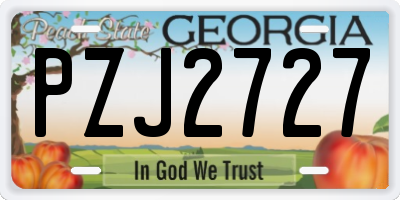 GA license plate PZJ2727