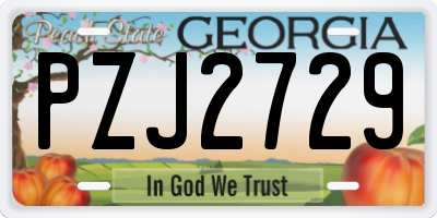 GA license plate PZJ2729