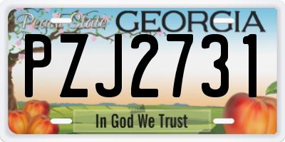 GA license plate PZJ2731