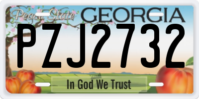 GA license plate PZJ2732