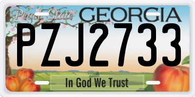 GA license plate PZJ2733
