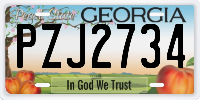 GA license plate PZJ2734