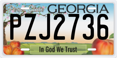 GA license plate PZJ2736