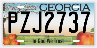 GA license plate PZJ2737