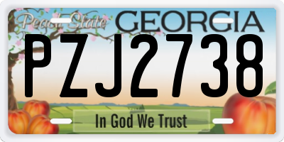 GA license plate PZJ2738