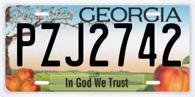 GA license plate PZJ2742