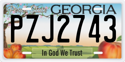 GA license plate PZJ2743