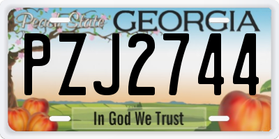 GA license plate PZJ2744