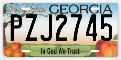 GA license plate PZJ2745
