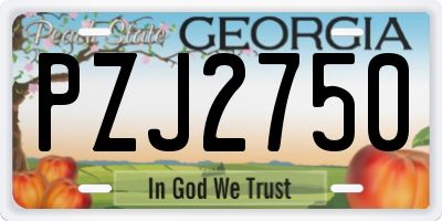 GA license plate PZJ2750