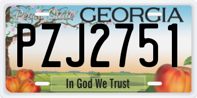 GA license plate PZJ2751