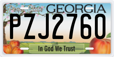 GA license plate PZJ2760