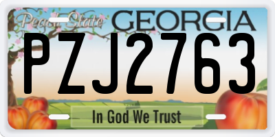 GA license plate PZJ2763