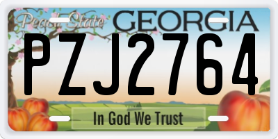 GA license plate PZJ2764